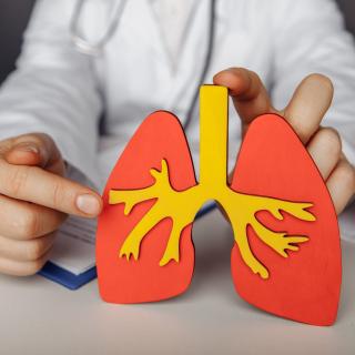  Clínica Médica Sorocaba Pneumologista em Sorocaba